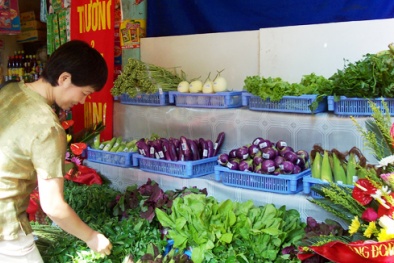 Cách phân biệt rau hữu cơ an toàn với rau hóa chất